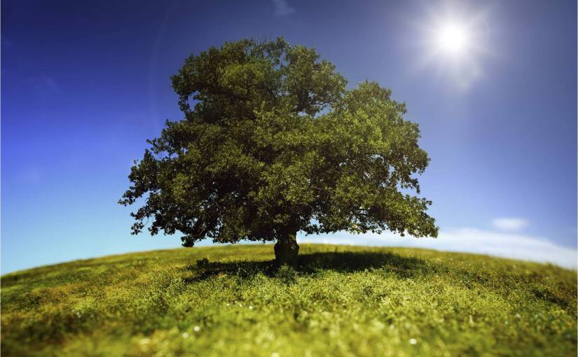 НАЧАЛОТО. КОЙ СЕ СЪБУЖДА В&nbsp;БЪЛГАРИЯ?